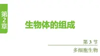 苏教版（2024）七年级上册（2024）多细胞生物课堂教学课件ppt