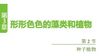 苏教版（2024）七年级上册（2024）种子植物课文内容ppt课件