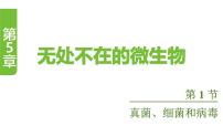 初中生物苏教版（2024）七年级上册（2024）真菌、细菌和病毒备课ppt课件
