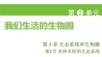 苏科版（2024）七年级上册（2024）多种多样的生态系统授课课件ppt