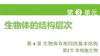 生物七年级上册（2024）单细胞生物课文内容ppt课件
