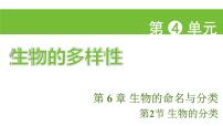 苏科版（2024）七年级上册（2024）生物的分类课文配套课件ppt