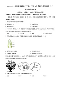 福建省漳州市芗城区漳州三中、三中分校联考2024-2025学年七年级下学期期中生物试题