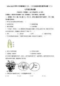 福建省漳州市芗城区漳州三中、三中分校联考2024-2025学年七年级下学期期中生物试题