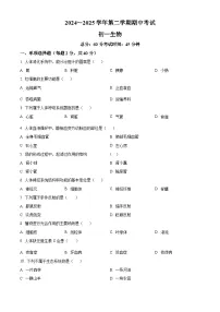 河北省石家庄市第四十中学2024-2025学年七年级下学期期中生物试题