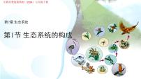 苏教版（2024）七年级下册（2024）生态系统的构成图片课件ppt