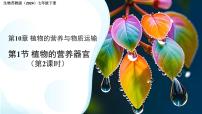 生物七年级下册（2024）植物的营养器官图片ppt课件