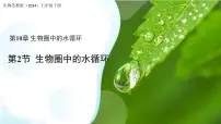 初中生物苏教版（2024）七年级下册（2024）生物圈中的水循环评课ppt课件
