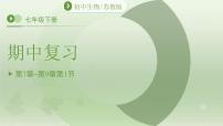 七年级下册生物苏教版期中复习（第7章~第9章）课件 生物苏教版（2024）七年级下册