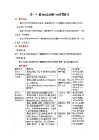 苏教版（2024）七年级下册（2024）第4节 植物在生物圈中的重要作用教案