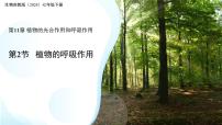 苏教版（2024）七年级下册（2024）植物的呼吸作用背景图课件ppt