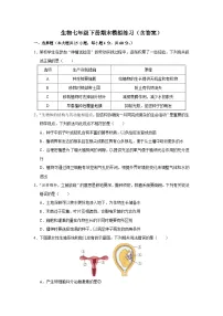 2024-2025学年人教版生物七年级下册期末模拟练习（含答案）