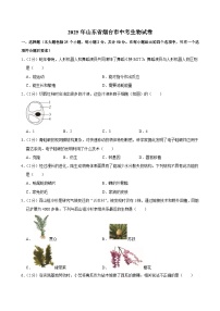 2025年山东省烟台市中考生物试卷及答案