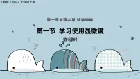 初中生物人教版（2024）七年级上册（2024）学习使用显微镜教学课件ppt