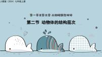 初中生物人教版（2024）七年级上册（2024）动物体的结构层次教学课件ppt