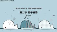 初中生物种子植物教学ppt课件