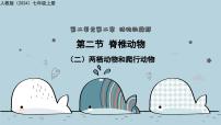 人教版（2024）七年级上册（2024）两栖动物和爬行动物教学ppt课件