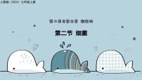 初中人教版（2024）细菌教学ppt课件