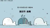 人教版（2024）七年级上册（2024）病毒教学ppt课件