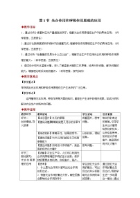 七年级下册（2024）第3节 光合作用和呼吸作用教案