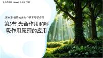初中生物第4单元 植物的生活第11章 植物的光合作用和呼吸作用第3节 光合作用和呼吸作用多媒体教学ppt课件