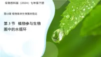 初中生物苏科版（2024）七年级下册（2024）植物参与生物圈中的水循环课文配套ppt课件