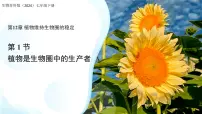 初中生物苏科版（2024）七年级下册（2024）植物是生物圈中的生产者课文内容课件ppt