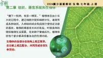 初中生物冀少版（2024）七年级上册（2024）细胞的分裂教学ppt课件