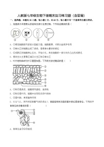 人教版七年级生物下册期末复习练习题（含答案）