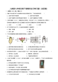 人教版七年级生物下册期末复习练习题（含答案）