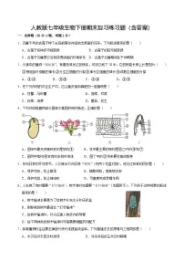 人教版七年级生物下册期末复习练习题（含答案）