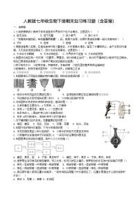 人教版七年级生物下册期末复习练习题（含答案）
