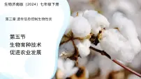 初中生物济南版（2024）七年级下册（2024）生物育种技术促进农业发展评课ppt课件