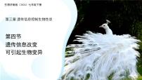 初中生物济南版（2024）七年级下册（2024）遗传信息改变可引起生物变异示范课课件ppt