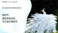 初中生物济南版（2024）七年级下册（2024）遗传信息改变可引起生物变异示范课课件ppt