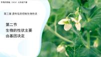 初中生物济南版（2024）七年级下册（2024）生物的性状主要由基因决定教课内容ppt课件