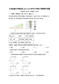 山东省临沂市临沭县2024-2025学年七年级下学期期中生物试卷（解析版）