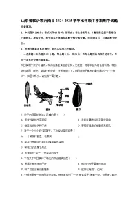 山东省临沂市沂南县2024-2025学年七年级下学期期中生物试卷（解析版）