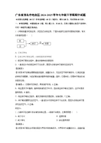 广东省茂名市电白区2024-2025学年七年级下学期期中生物试卷（解析版）