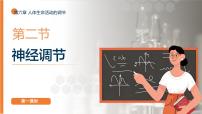 人教版（2024）八年级上册（2024）第四单元 人体生理与健康（二）第六章 人体生命活动的调节第二节 神经调节评课课件ppt