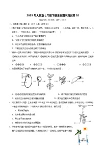 2025年人教版七年级下册生物期末测试卷02