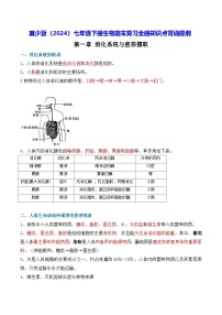 冀少版（2024）七年级下册生物期末复习全册知识点背诵提纲 学案