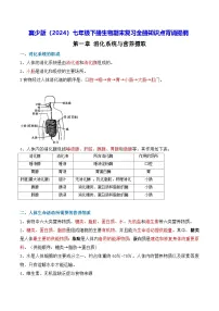 冀少版（2024）七年级下册生物期末复习全册知识点背诵提纲 学案
