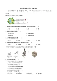 2025年福建省中考生物试卷及答案