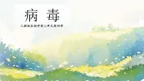 初中生物人教版（2024）七年级上册（2024）病毒一等奖课件ppt