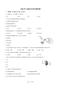 2025年上海市中考生物试卷(含解析）