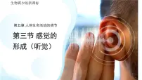 初中生物冀少版（2024）七年级下册（2024）听觉示范课ppt课件