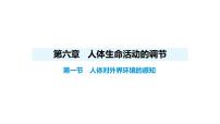 初中人教版（2024）第一节 人体对外界环境的感知备课课件ppt
