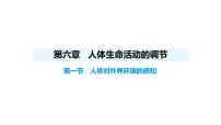 初中人教版（2024）第一节 人体对外界环境的感知备课课件ppt