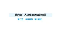 人教版（2024）八年级上册（2024）第二节 神经调节教案配套ppt课件